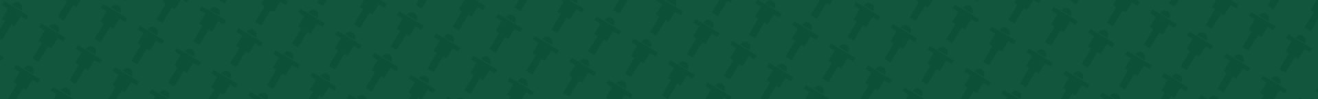bg-patten-smaller.jpg